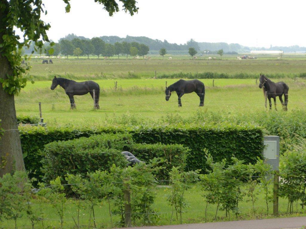 Hotel Brasserie Oud Maren Bagian luar foto